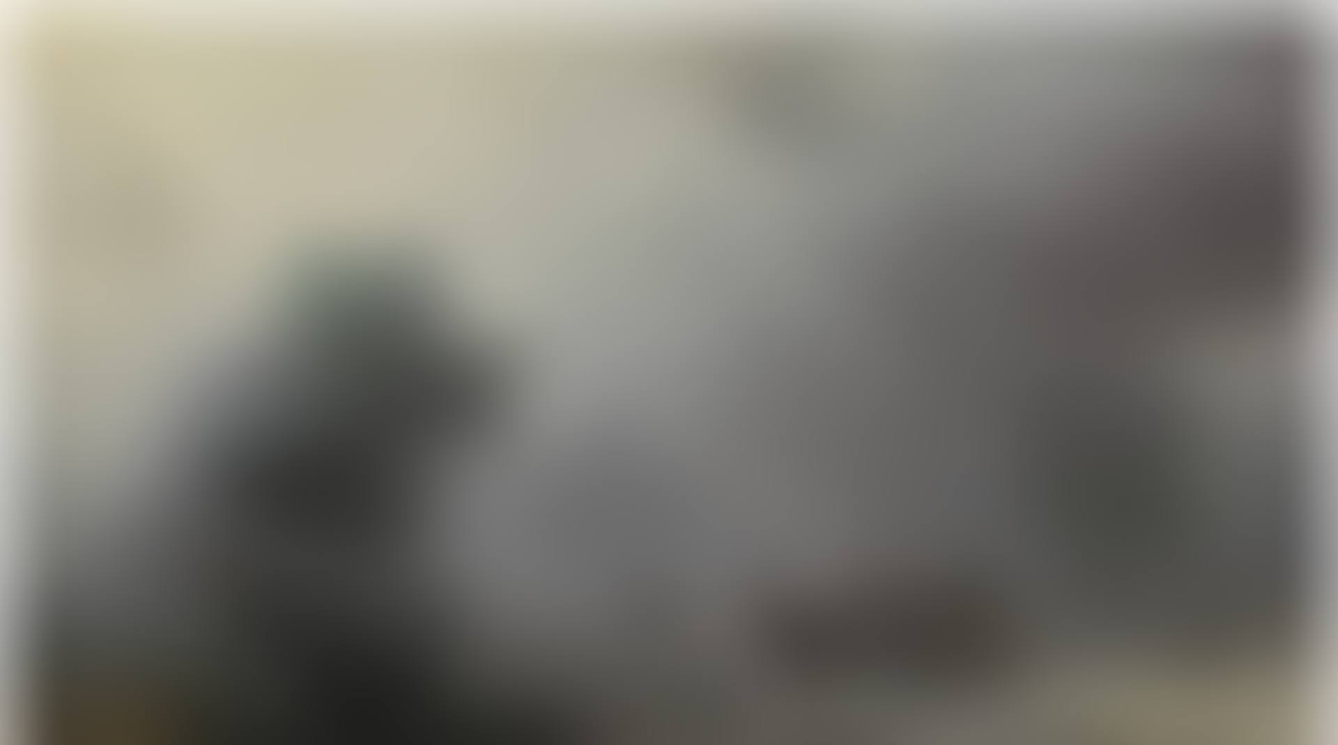 Carriage in a Storm (preview)