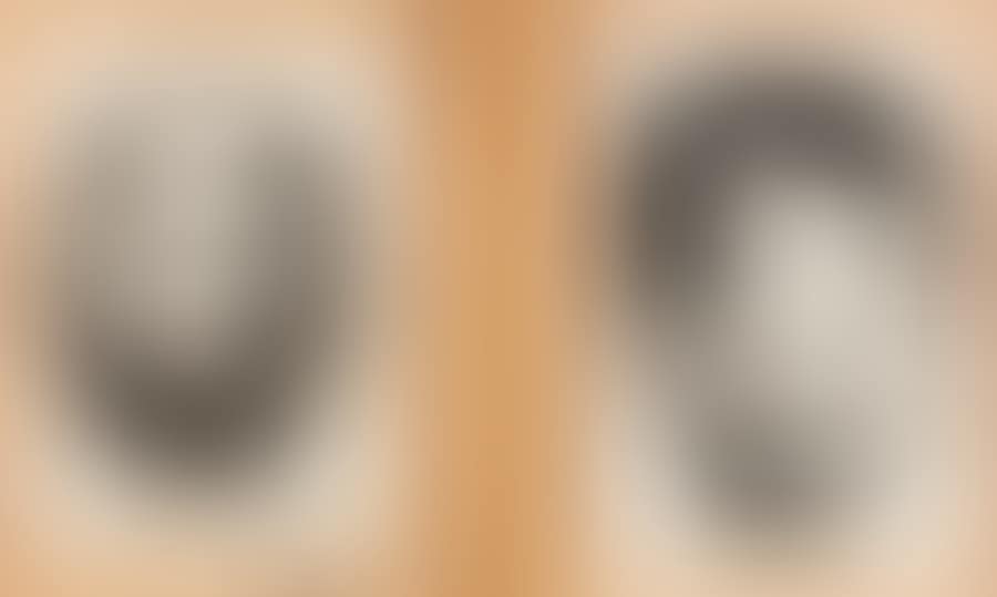 Faces (preview)