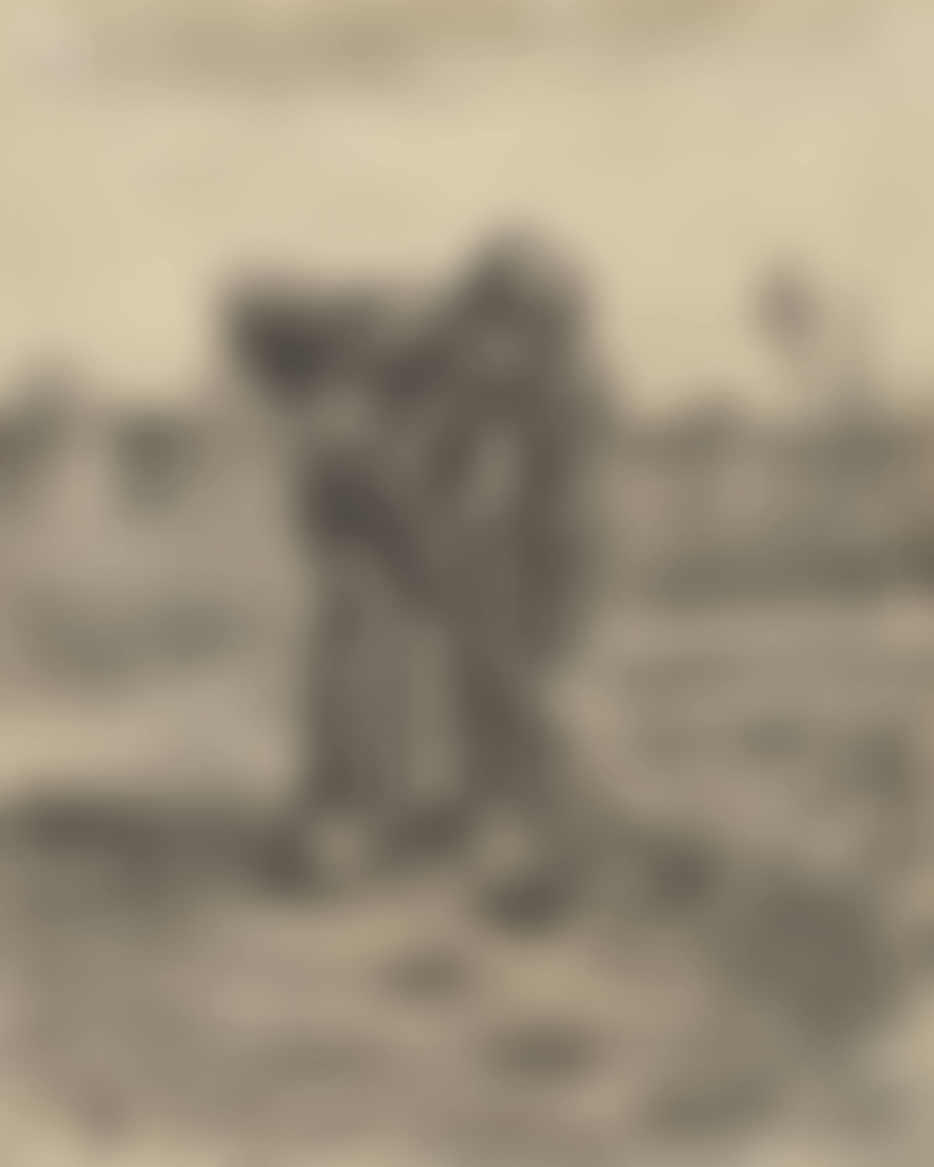 Aardappelrooier (preview)