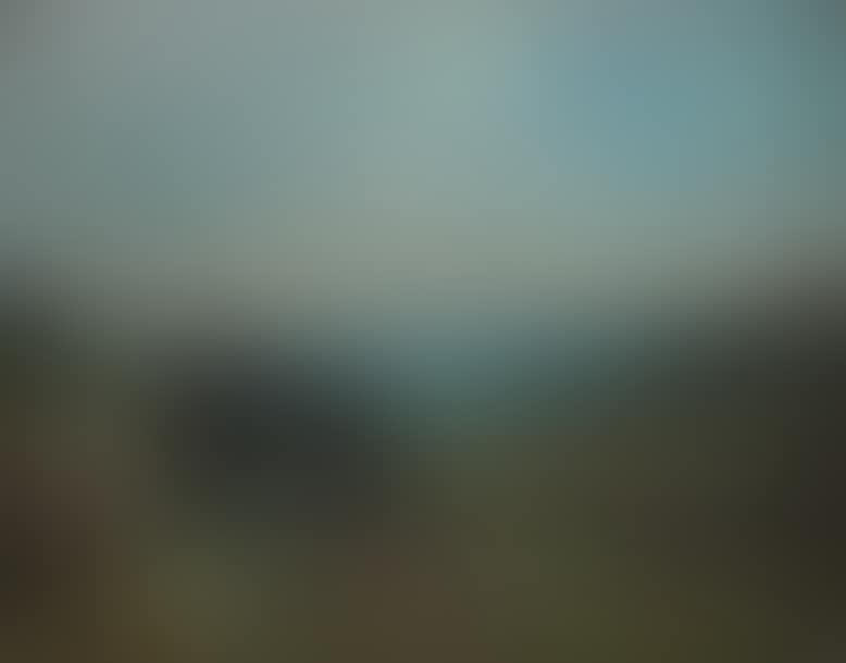 Child in the countryside (preview)