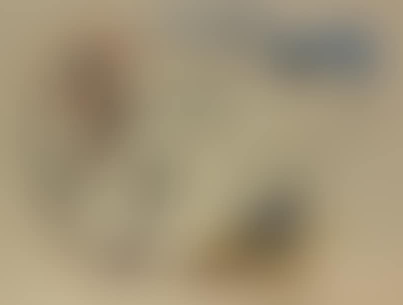 Erotic (preview)