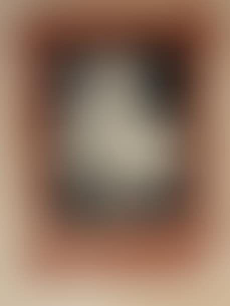 The lady with the collar Lithograph (stains) (preview)