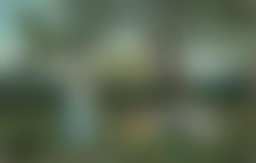 Meeting in the countryside (preview)
