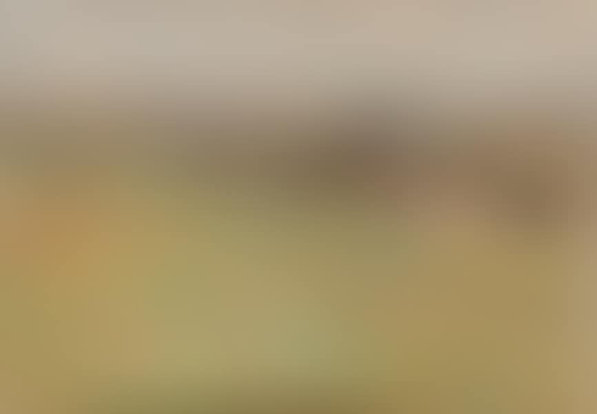 Village in a hilly landscape (preview)