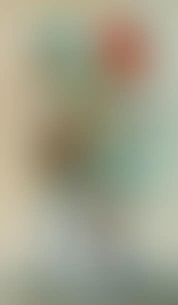 The poppy (preview)
