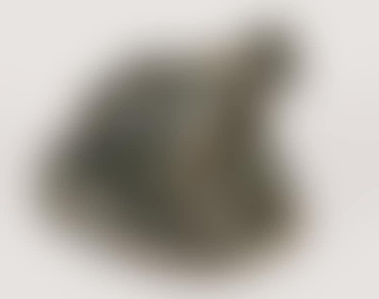 frog (preview)