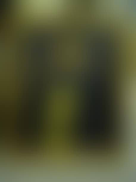 Portrait of a man (preview)