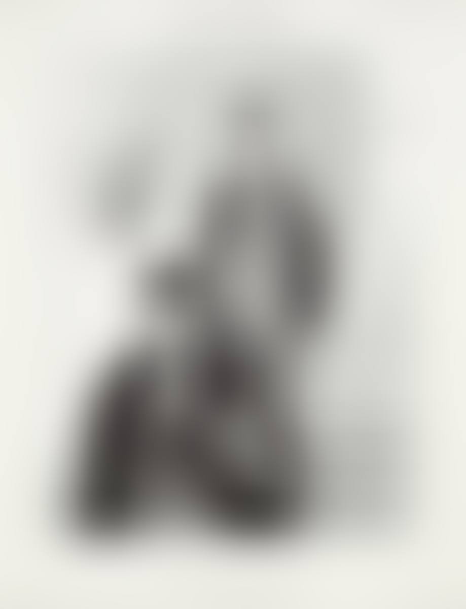 The grand staircase of the Palais de Justice, front view, plate 36 from the Gens de justice suite (preview)