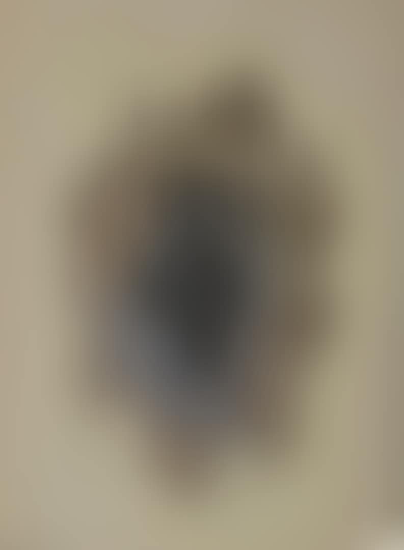 The hand of the artist (preview)