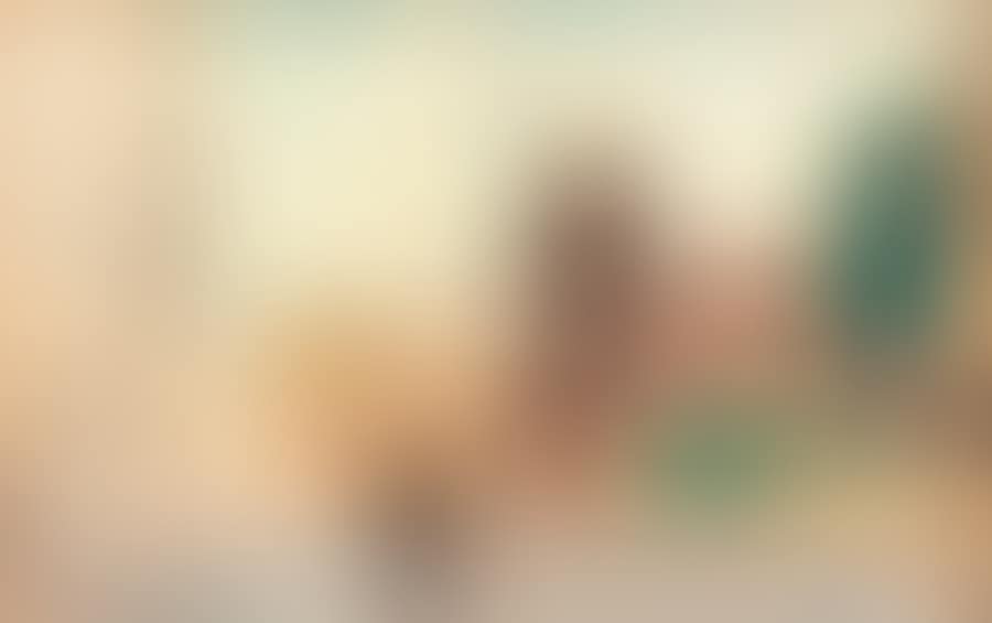 The Moulin de la Galette (preview)