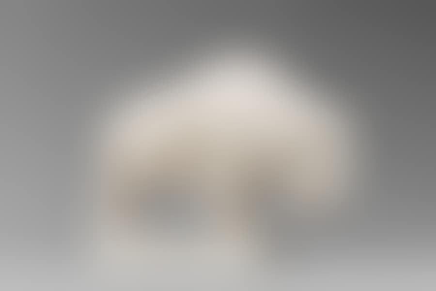 Bison (preview)