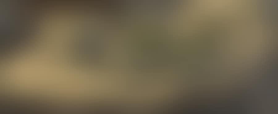 Green pears (preview)
