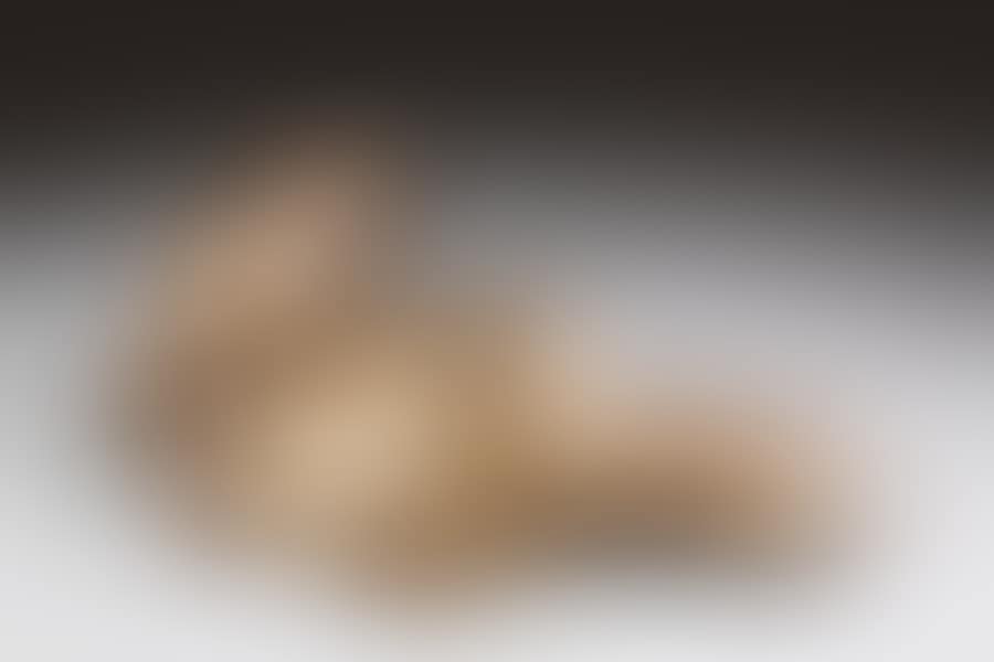 Magnetic evidence (preview)