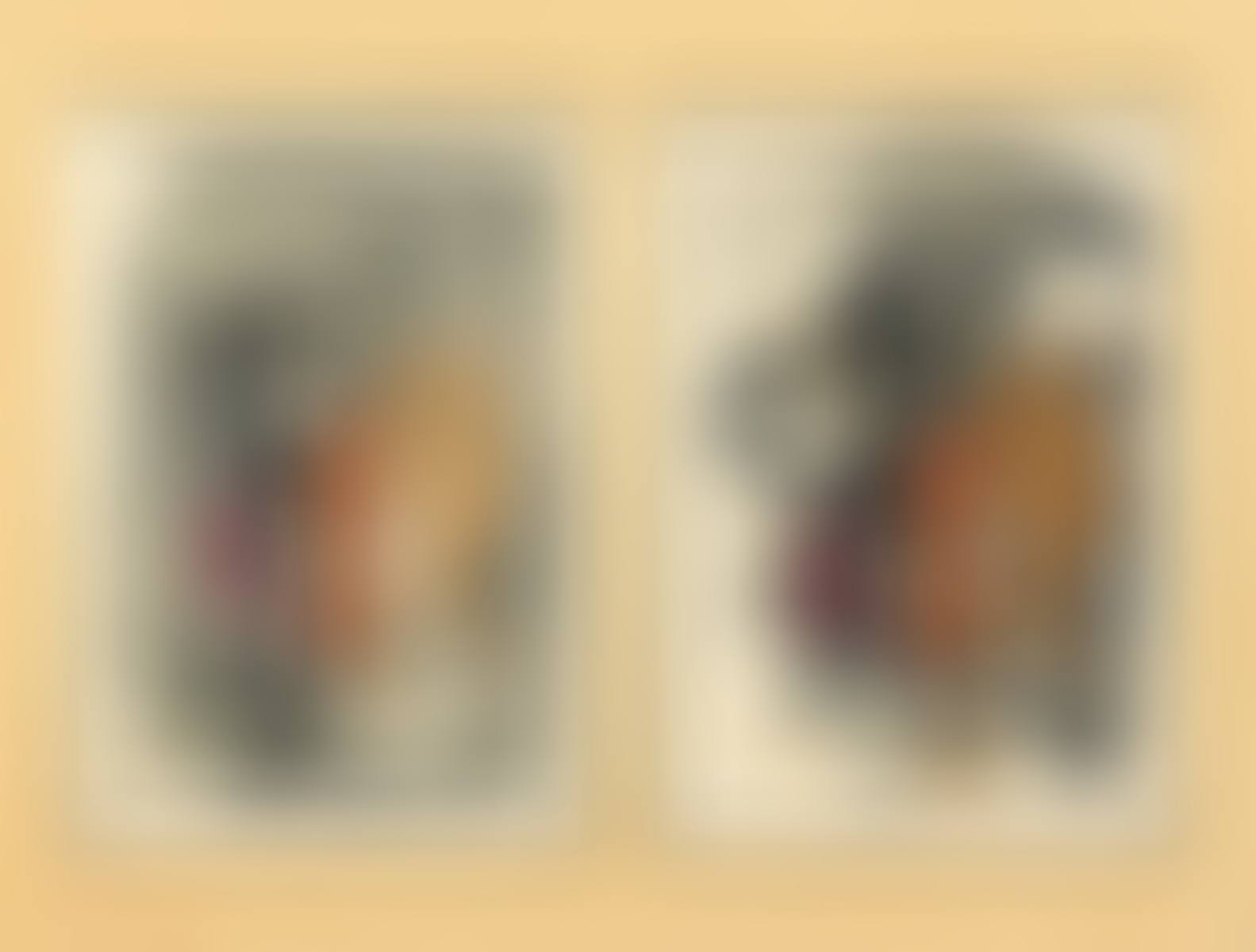 Bullfighters (preview)