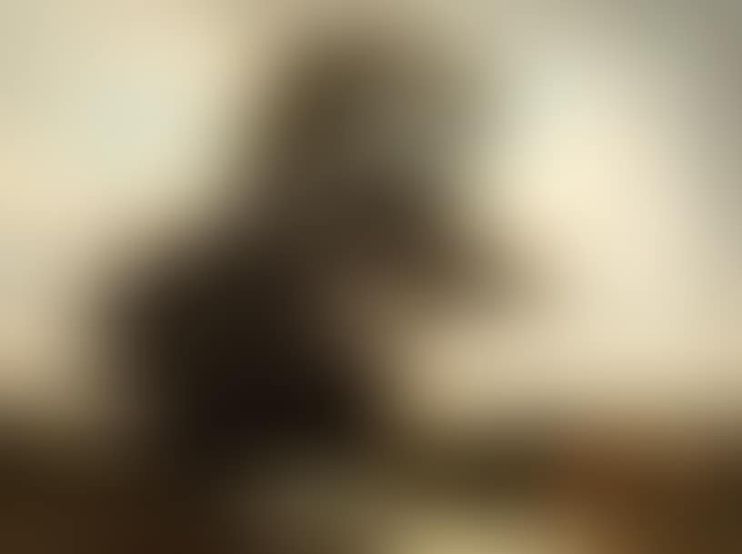 Cows in a meadow (preview)