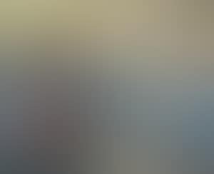 Notations Hollande (preview)
