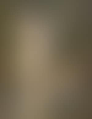 Homage to Renoir (preview)