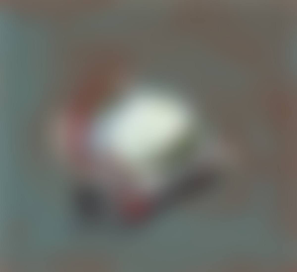 ”Taube XII” (preview)