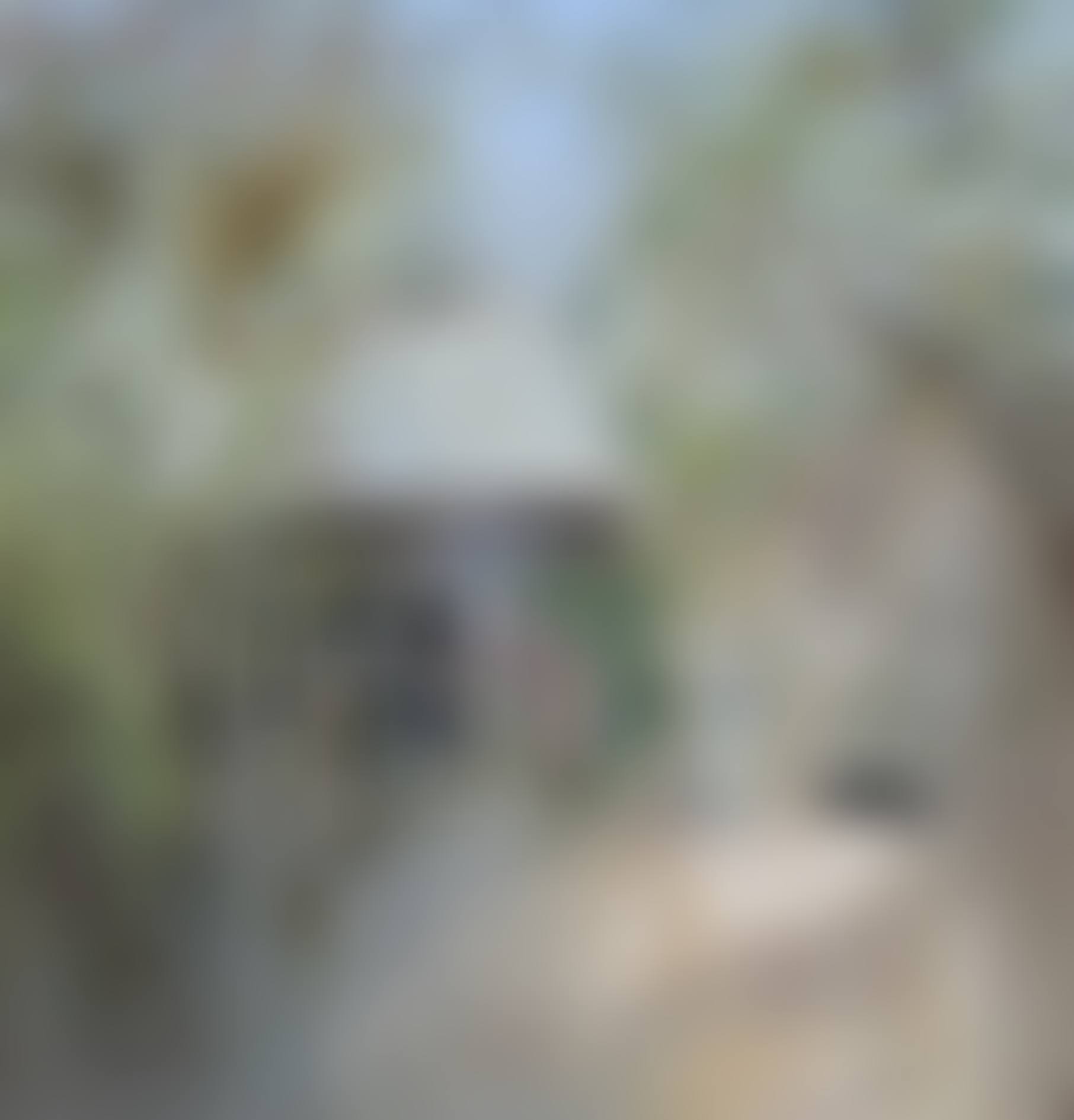 THE HOUSE AT MURRUMBEENA (preview)