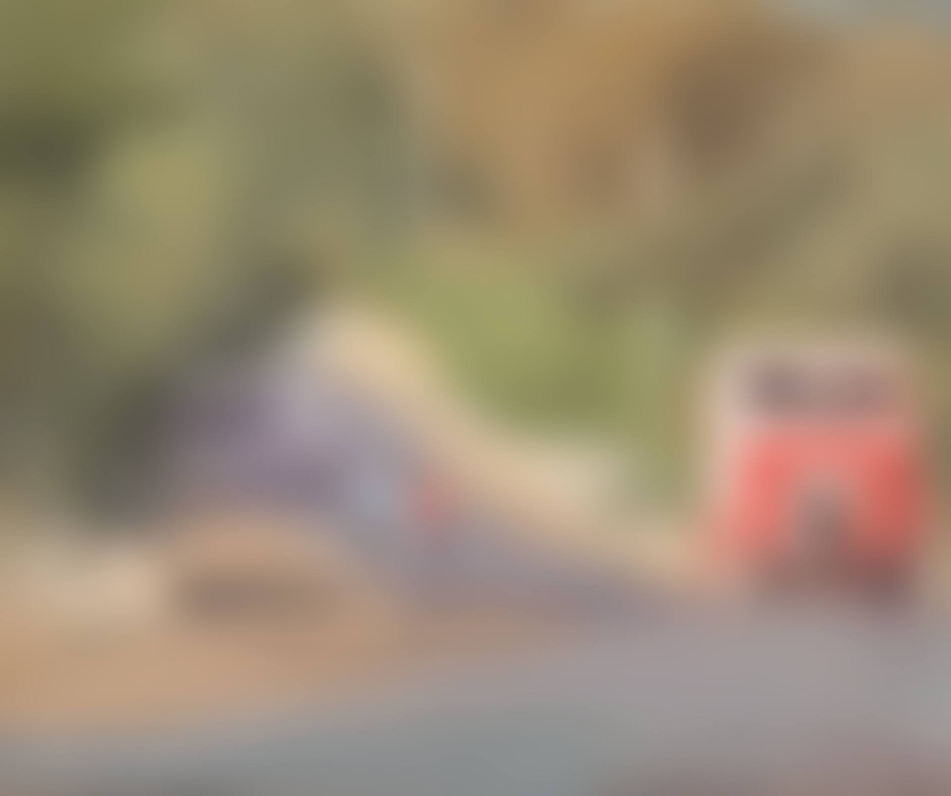 THE RED BUS (preview)
