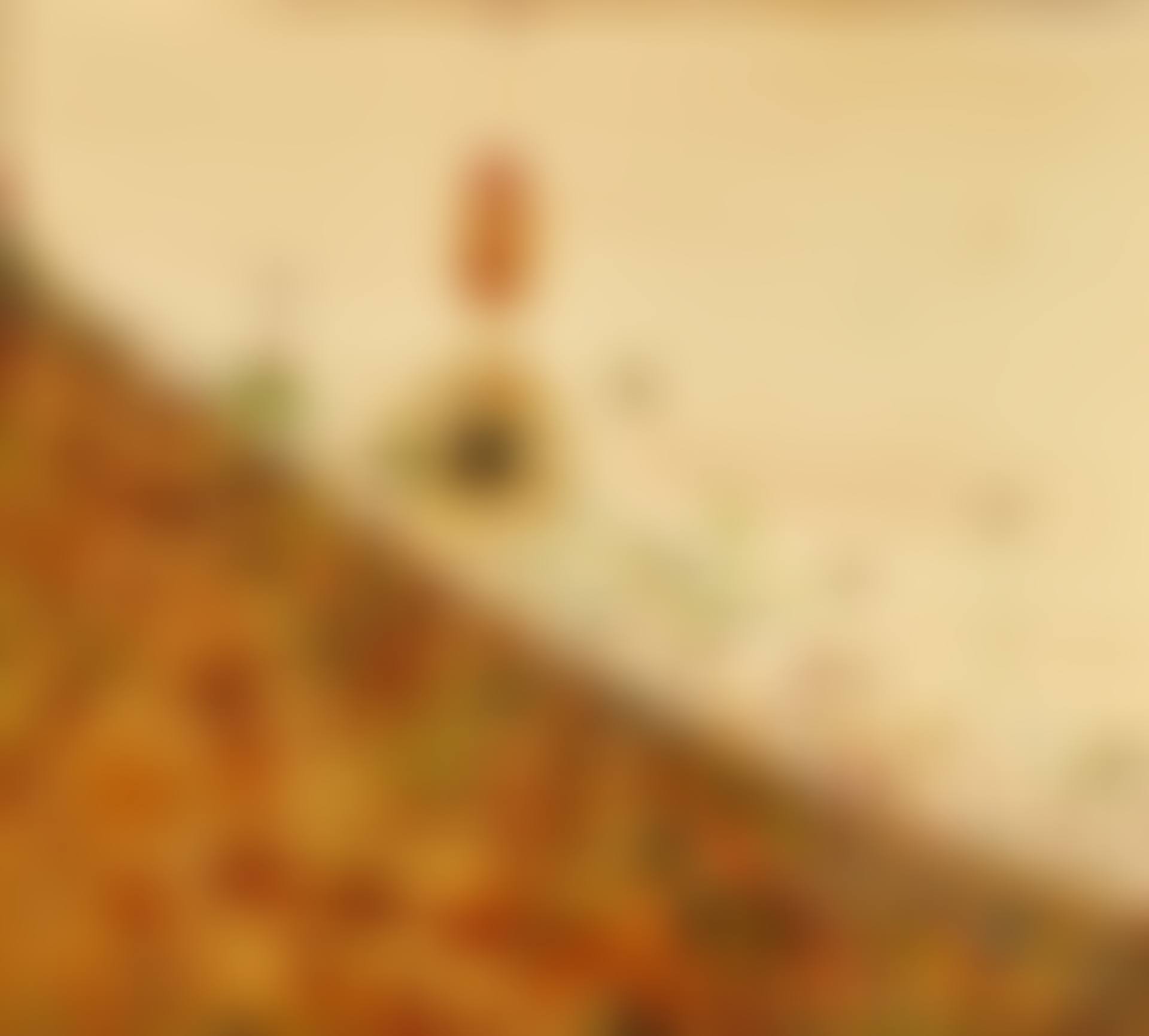 VIEW FROM THE STUDIO (preview)