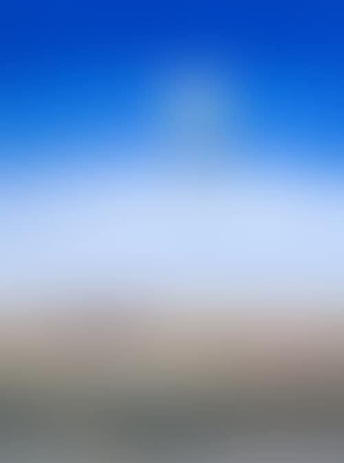 ROSE OVER SHOALHAVEN (preview)