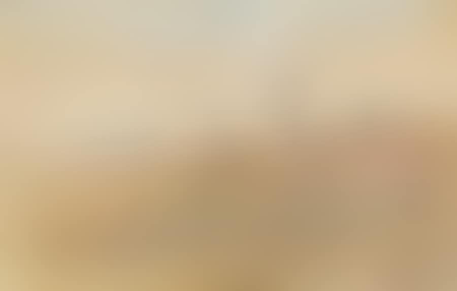 FIGURE AND SHEEP, WIMMERA (preview)