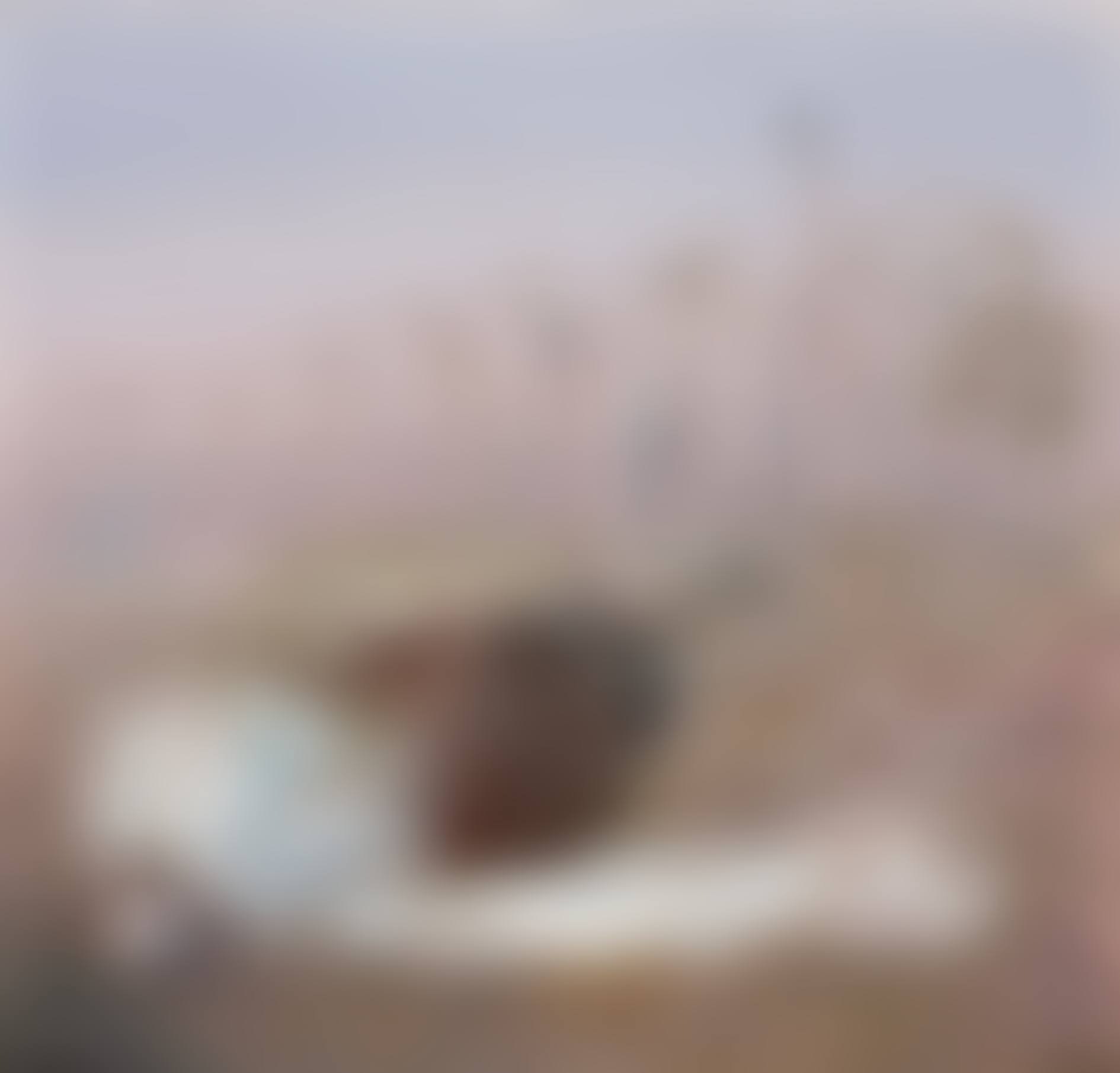 BRIDE IN LANDSCAPE (preview)