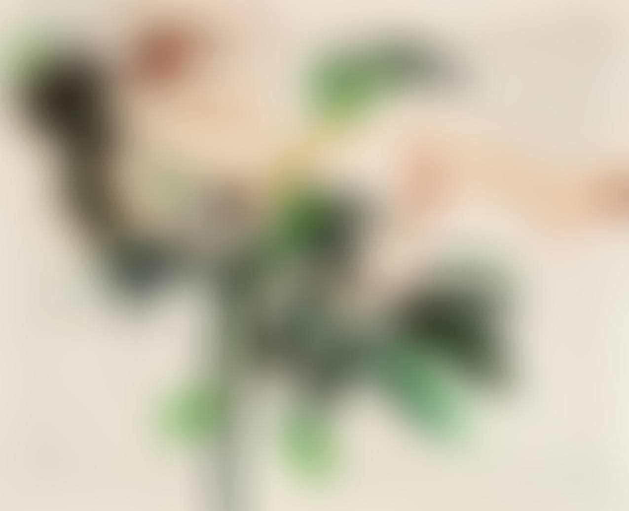 NUDE AND MIRROR (preview)