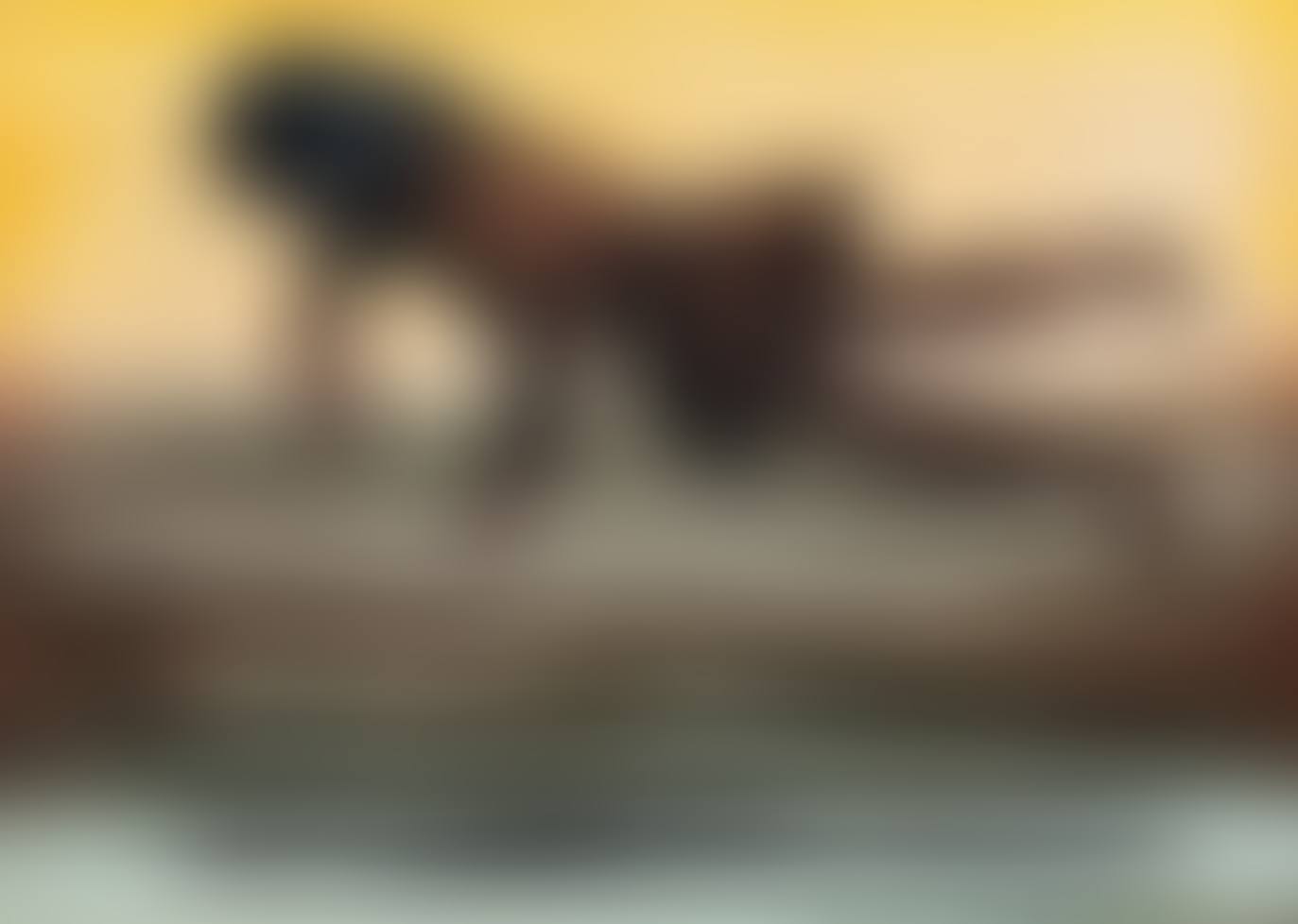 THE DREAM (preview)