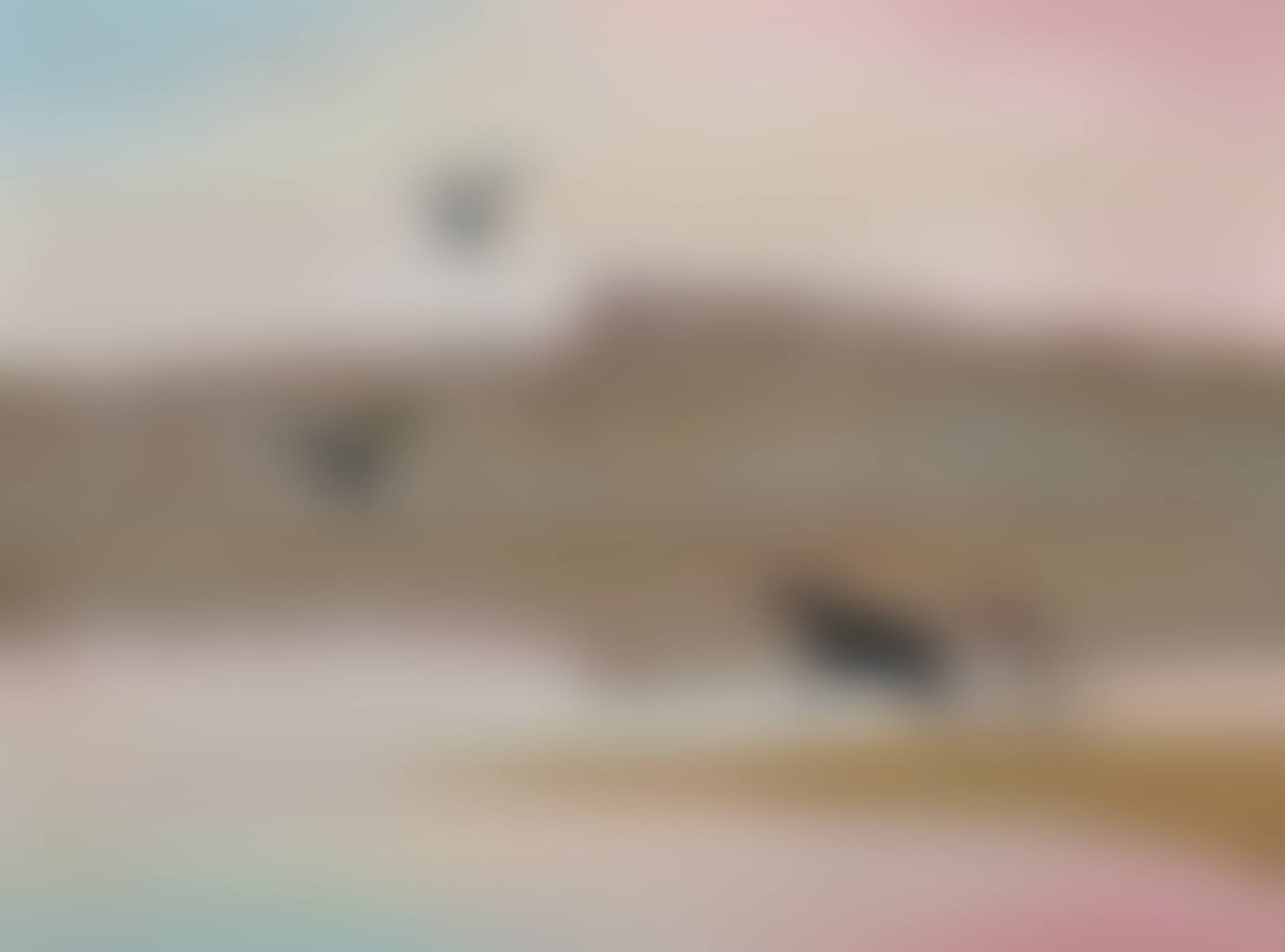 THE SPIT, SHOALHAVEN (preview)