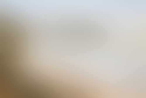 PORTSEA (preview)