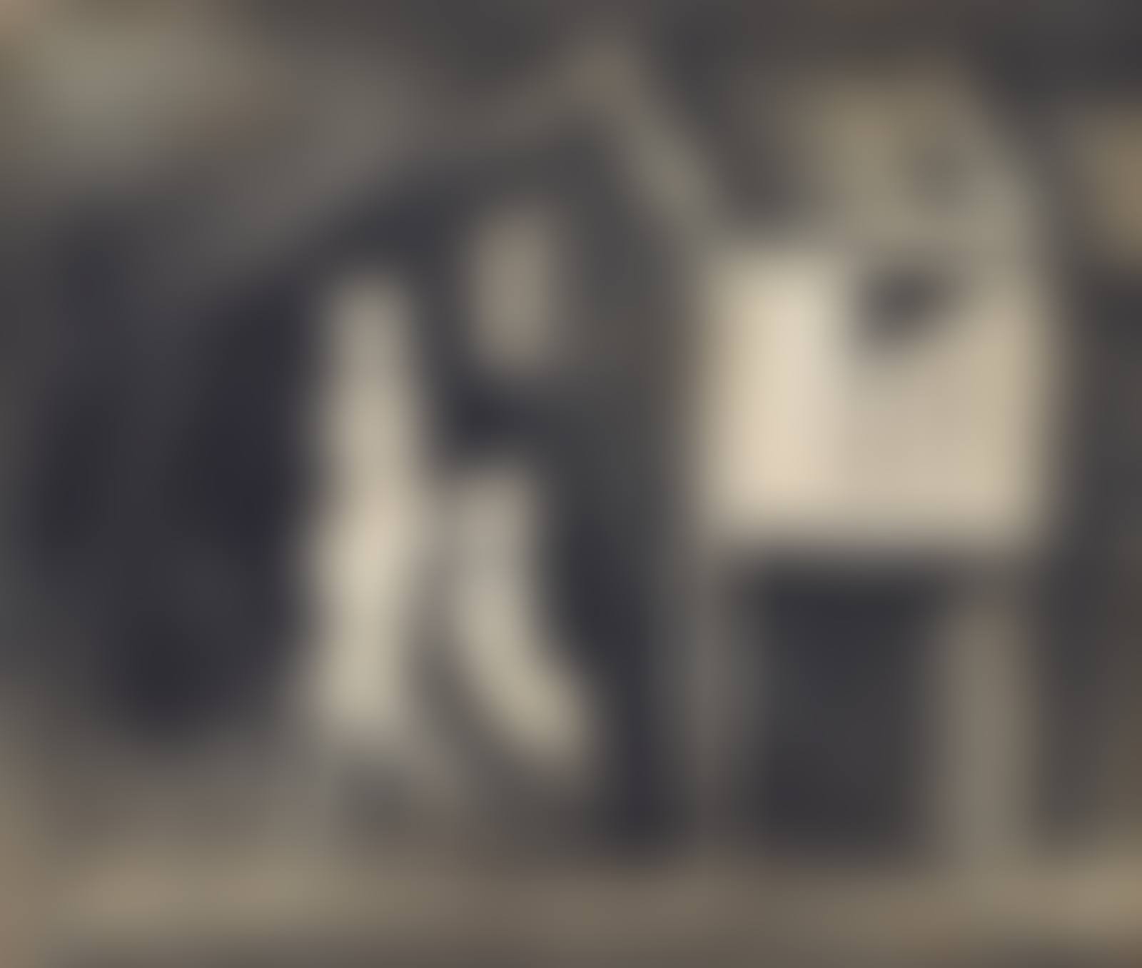 CHILDREN IN TERRACE HOUSES (preview)