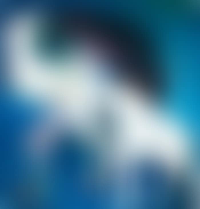 BLACK HAIRED WOMAN HOLDING HANDKERCHIEF WITH CRYING DOG (preview)