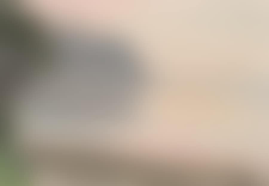 BEAUMARIS (preview)