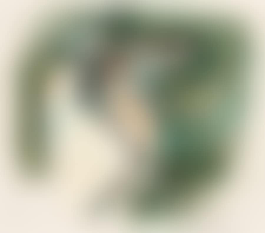 TREE FROG (preview)