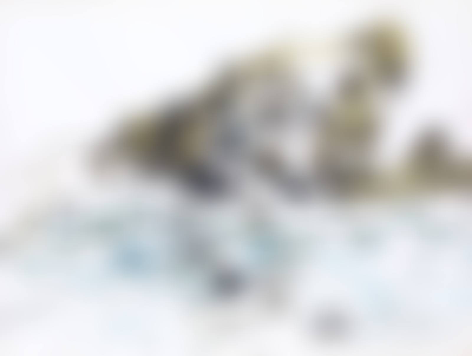CATS (preview)