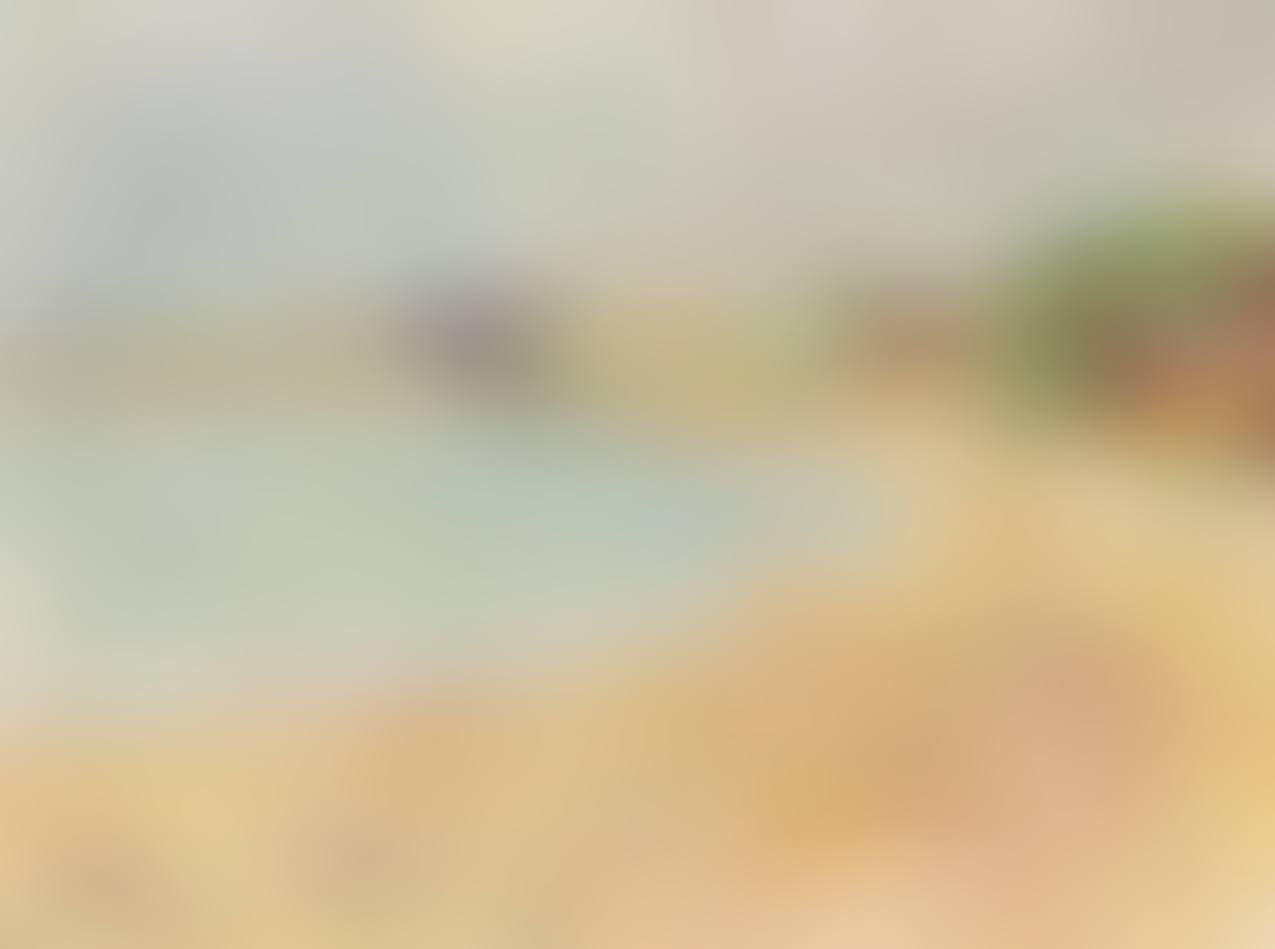 DROMANA (preview)