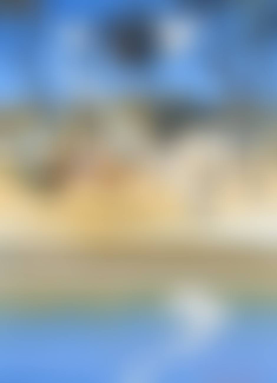 SHOALHAVEN RIVER WITH COCKATOOS AND PELICAN (preview)