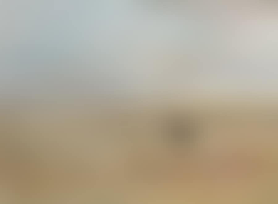 WIMMERA LANDSCAPE WITH HOMESTEAD AND RAM (preview)