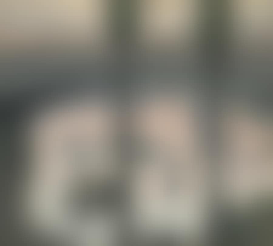 PRINCES BRIDGE (preview)