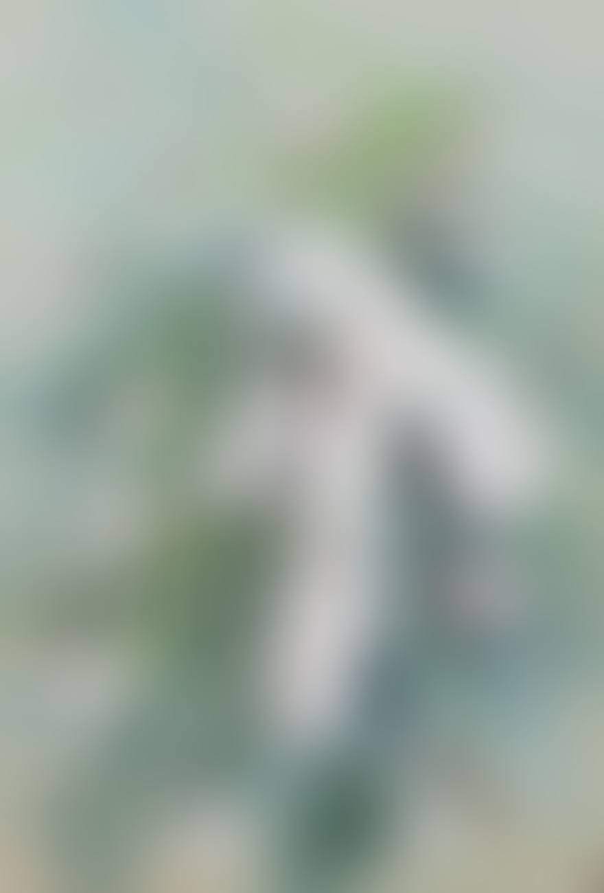 CLAMMY LOCUST (ROBINIA VISCÒSA) (preview)