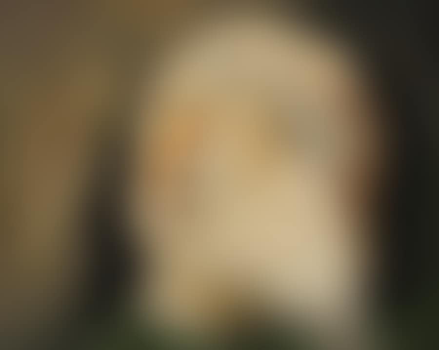 PORTRAIT OF A GIRL (preview)