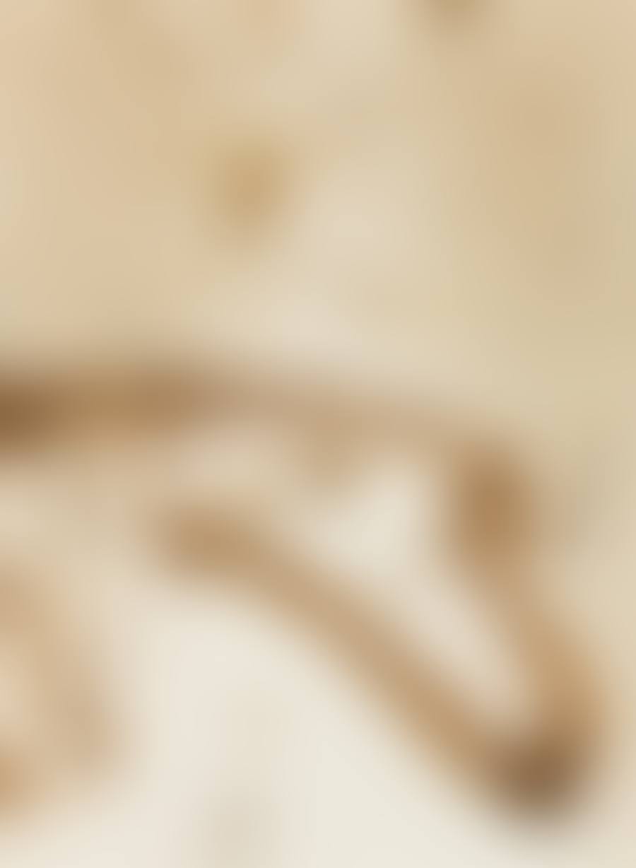 BIRD AND KANGAROO (preview)