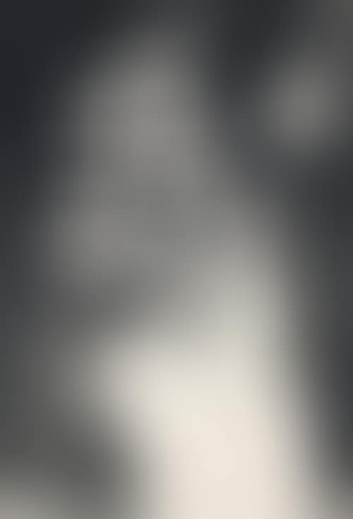 GIRL IN CHEQUERED DRESS (preview)