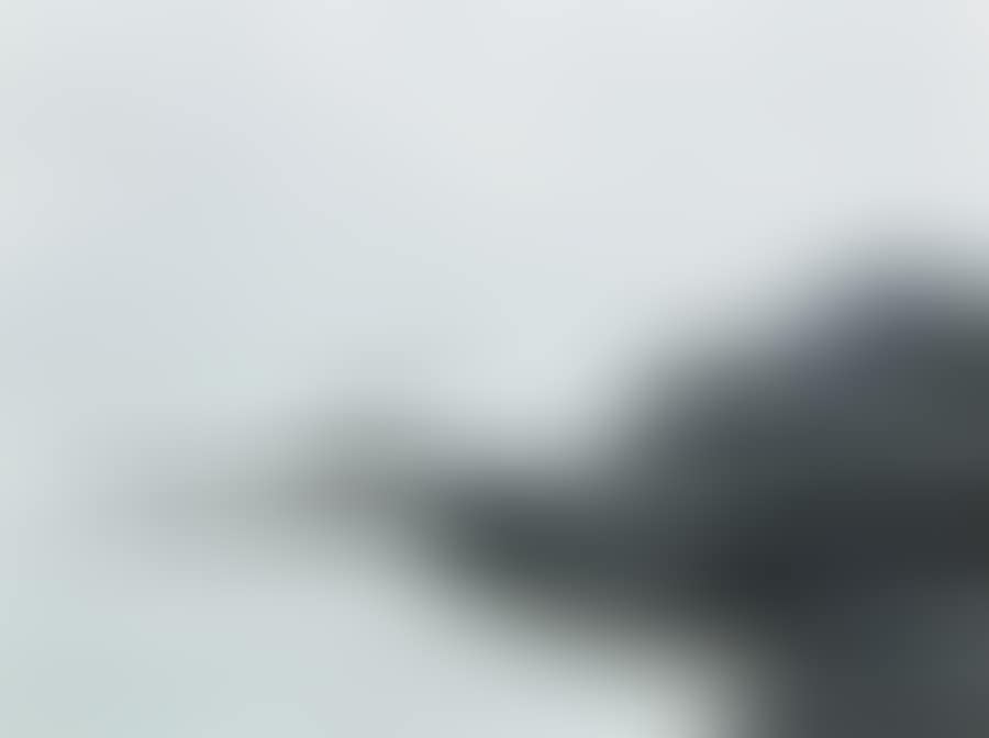 SILVER SEAS (preview)