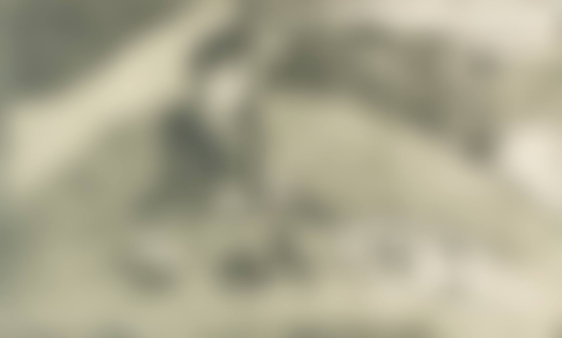The Woman with Figs (preview)