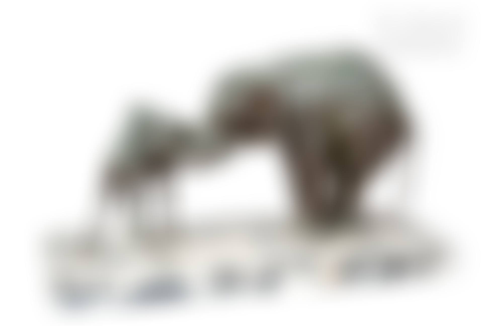 African elephant and young camel (preview)