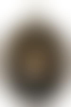 Portrait of a young man in a black robe (preview)