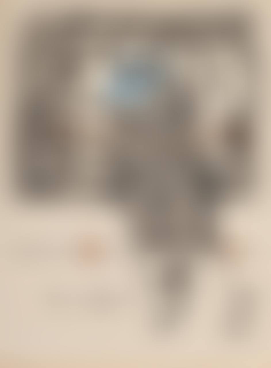Les Oiseauxs (preview)